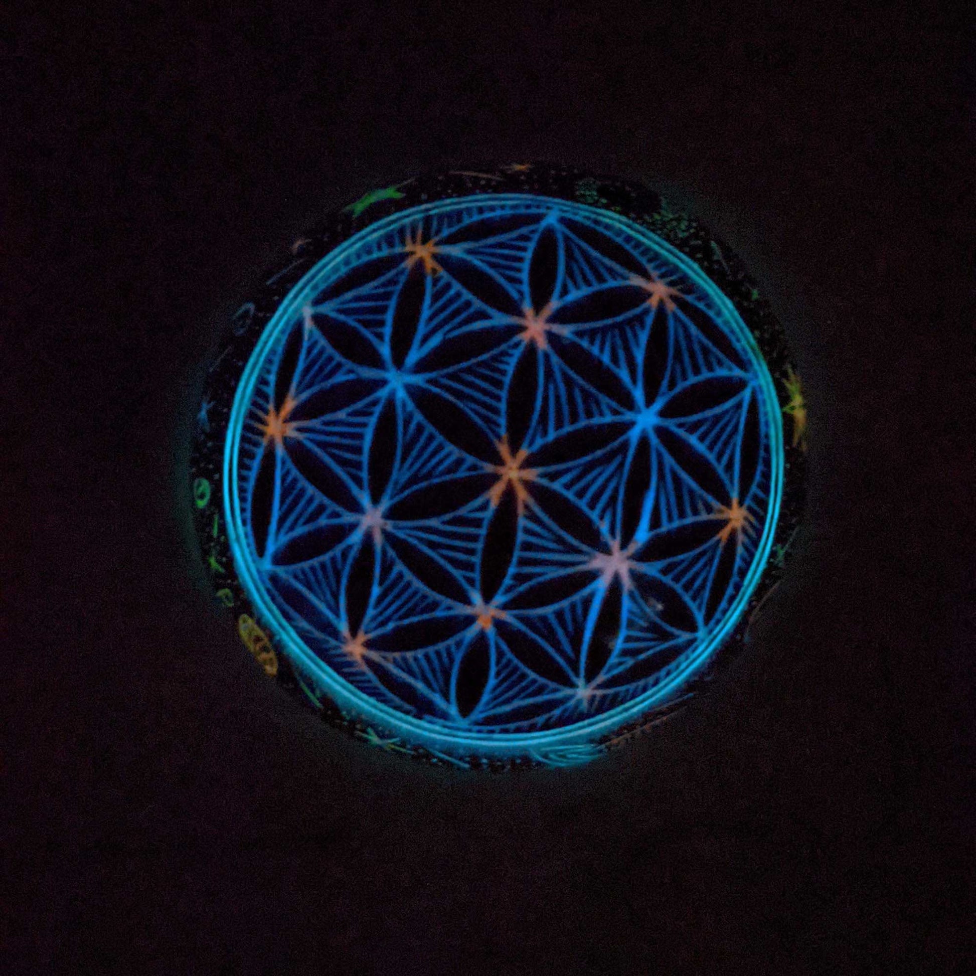 Black Bowl Back Glow