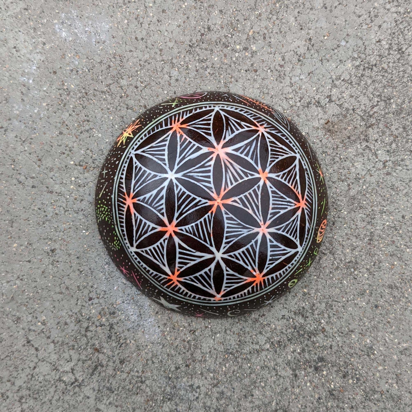 Black Bowl Back