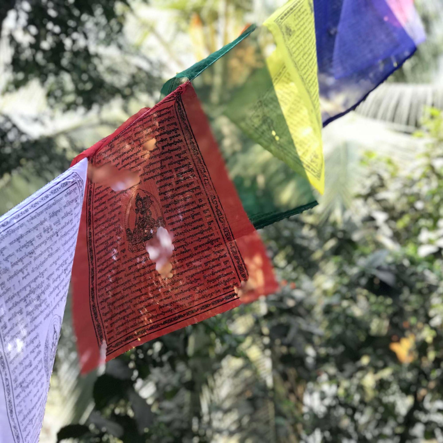 Buddhist Tibetan Prayer Flags XXL 975cms Pack of 5 Outdoor view